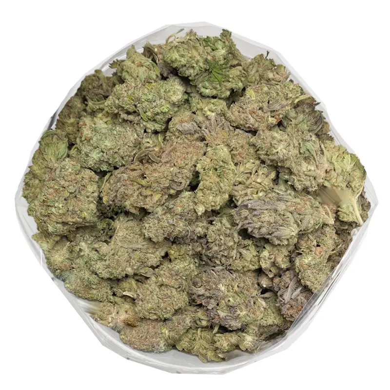 Discover the unique charm of Apricot Kush, a 50/50 hybrid strain that combines the best of both worlds. With its lineage tracing back to the renowned Apricot and Kush strains, this weed offers a delightful mix of uplifting and euphoric highs. Boasting a THC concentration of 18-21%. Apricot Kush produces bright green nugs covered in a thick coat of trichomes, ensuring a high-quality toke every time. With its balanced sativa-indica effect, it’s the perfect choice for those looking to enjoy a clear-headed, relaxing experience without the heaviness. Its happy effects make it an excellent cannabis strain for managing stress and enhancing mood. This makes Apricot Kush a favorite among medical and recreational users alike. Its earthy, fruity aroma, reminiscent of fresh apricots, is sure to tantalize your senses.