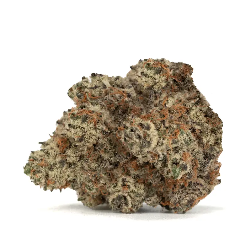 blueberry-pancake-strain blueberry-pancake-strain