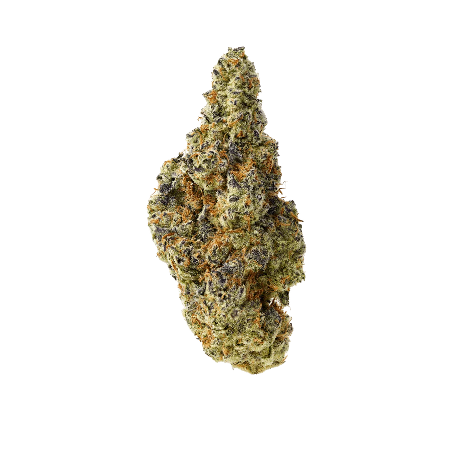 Dante’s Inferno
Dante’s Inferno