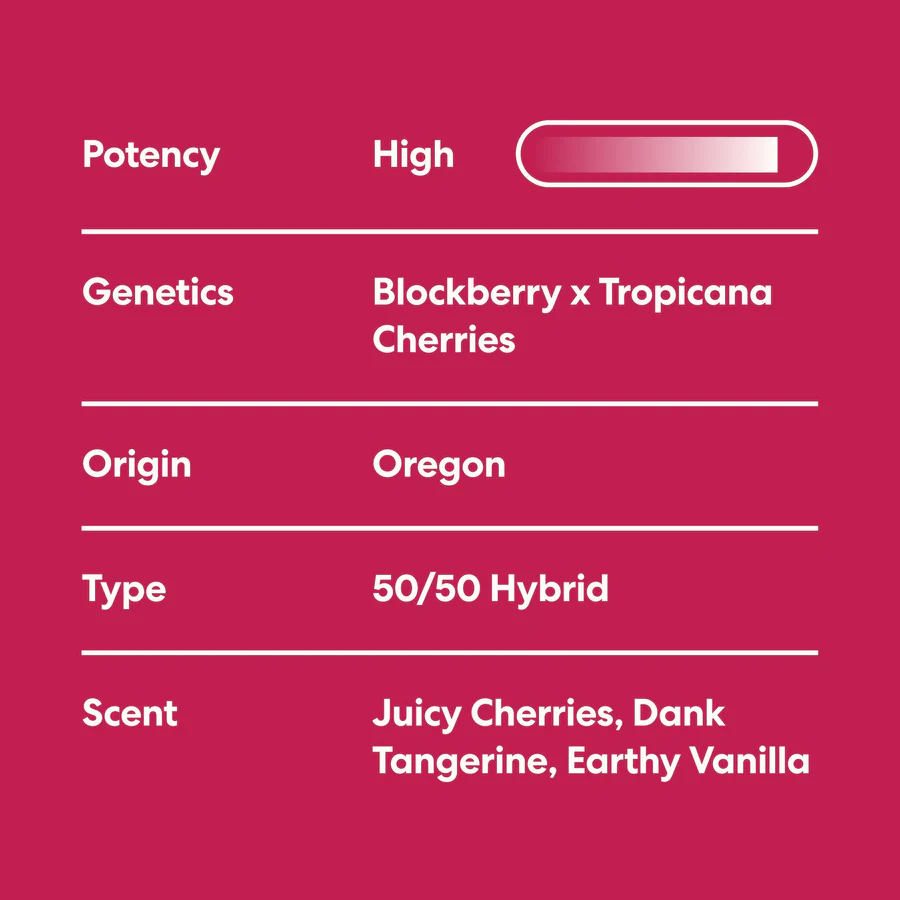 SuperBuffCherry_PDPmediaG4_StephCards_24112024 SuperBuffCherry_PDPmediaG4_StephCards_24112024