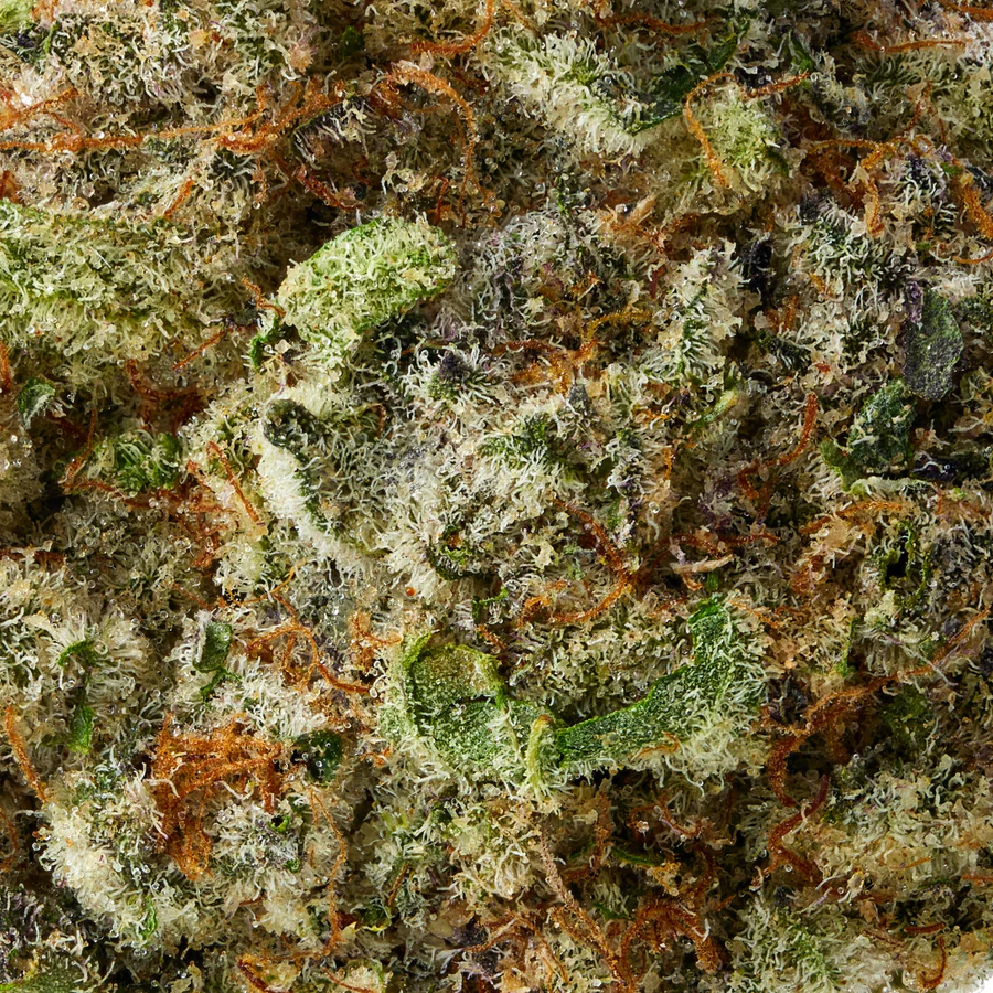 SuperBuffCherry_PDPmediaG8_ChrisPhoto_20112024 SuperBuffCherry_PDPmediaG8_ChrisPhoto_20112024