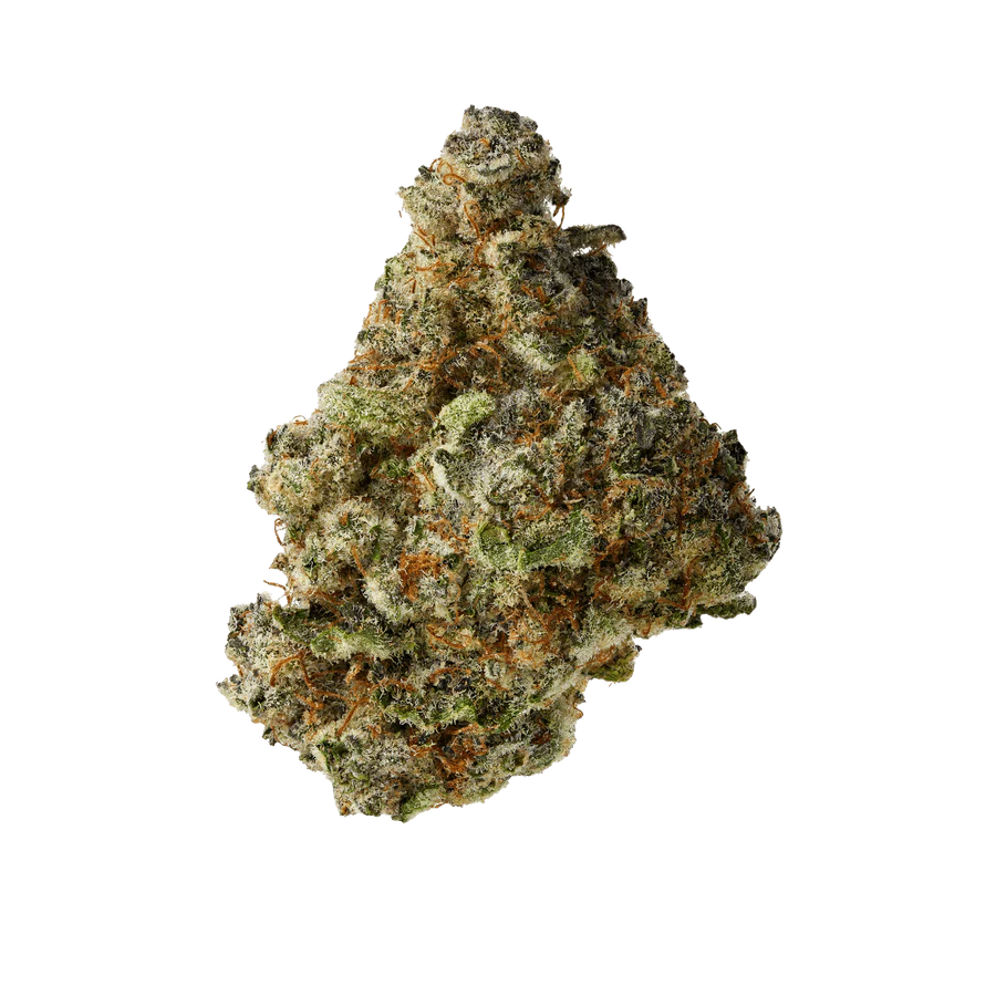 Super Buff Cherry
Super Buff Cherry